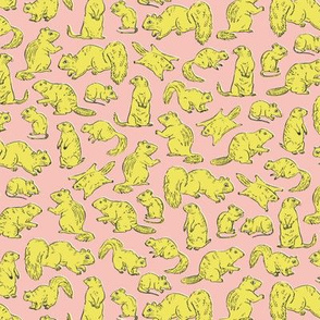 Rodents / Gnawers | Yellow on Pink | Small Scale
