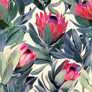 Painted Protea Floral Extra Large Version