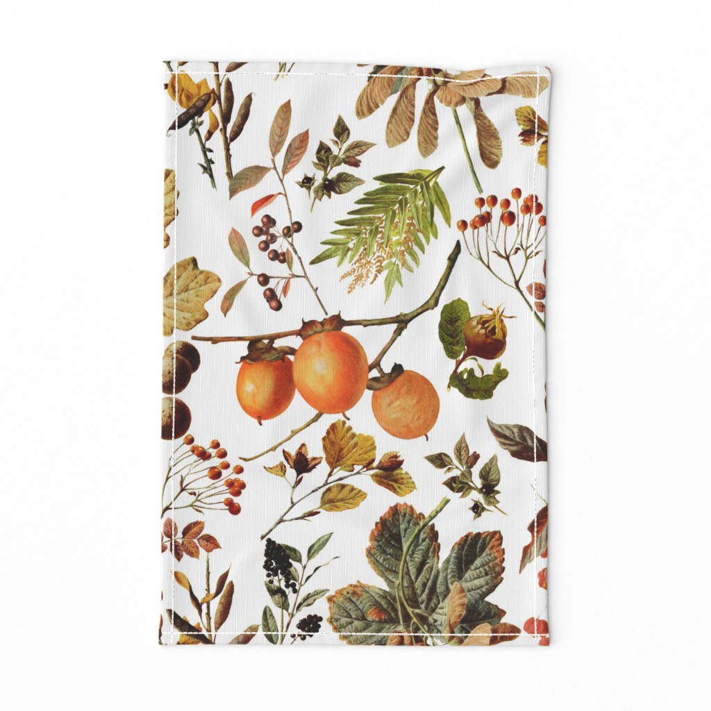 vintage botanical autumn