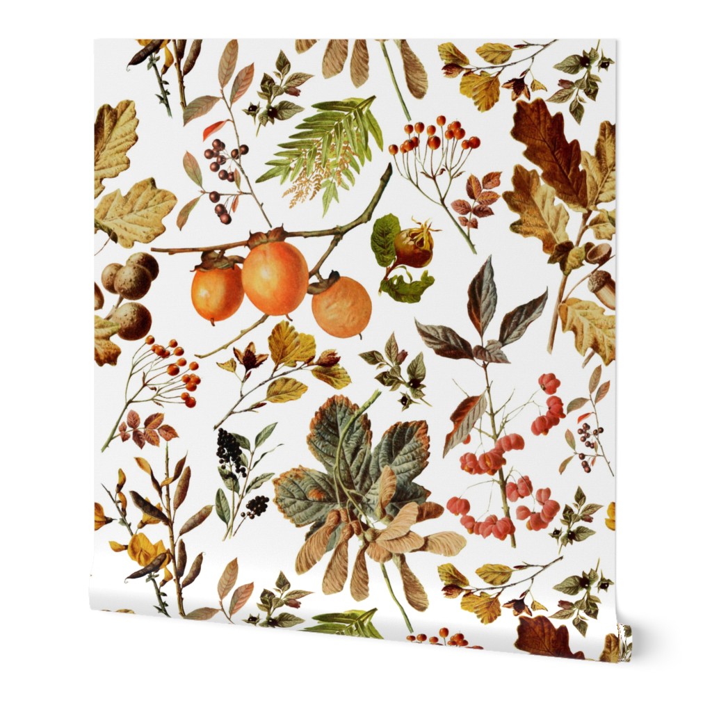 vintage botanical autumn