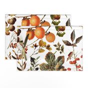 vintage botanical autumn