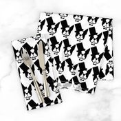 Boston Terrier fabric - the American Gentleman of dog fabric designs 