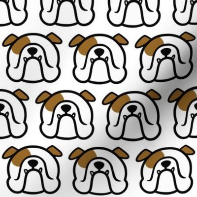 English Bulldog in white & brown - Bully love pattern