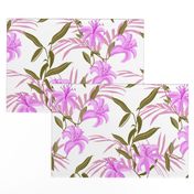 tiger_lily_purple