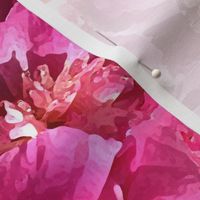 Pink Peonies by MJ LaCroix