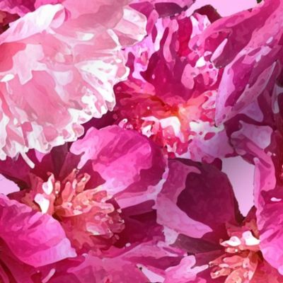 Pink Peonies by MJ LaCroix