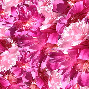 Pink Peonies by MJ LaCroix