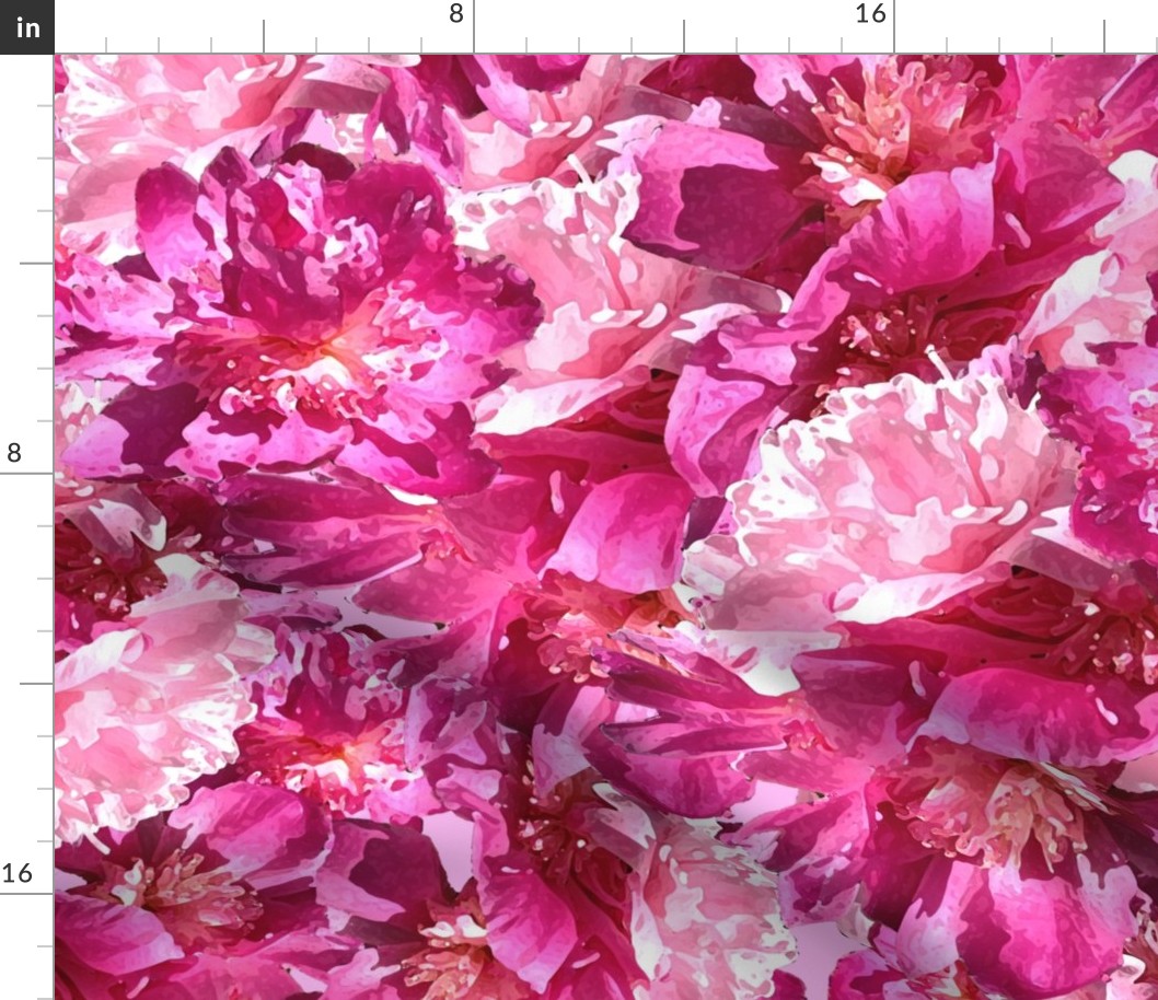 Pink Peonies by MJ LaCroix