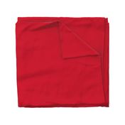 Scarlet Red Solid Football Team Color