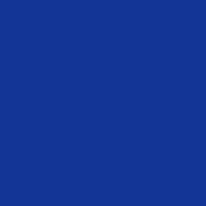 2560x1600 Royal Blue Web Solid Color Background