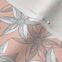 Love Blooms - Grey and White on Peach