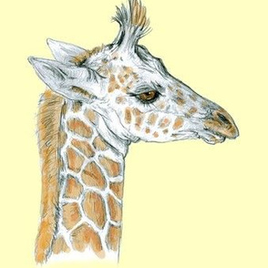 Baby Giraffe half drop on Yellow