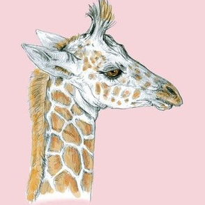 Baby Giraffe half drop on scanned pink