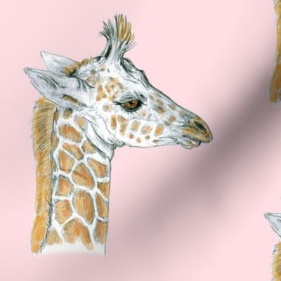 Baby Giraffe half drop on lighter Pink