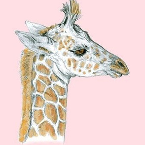 Baby Giraffe half drop on lighter Pink