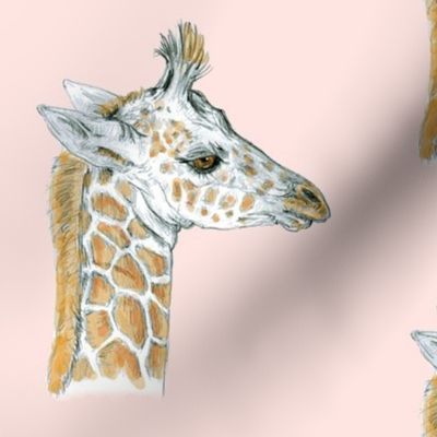 Custom Baby Giraffe half drop on pale Pink