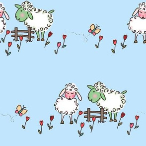 Courting sheep