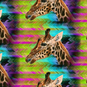 GIRAFFE ON MULTICOLOR PSYCHEDELIC CHEVRONS