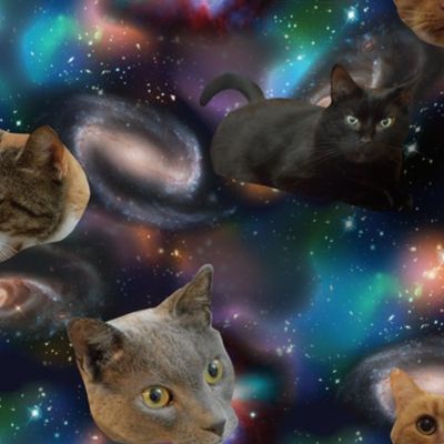 Galaxy Cats