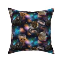 Galaxy Cats