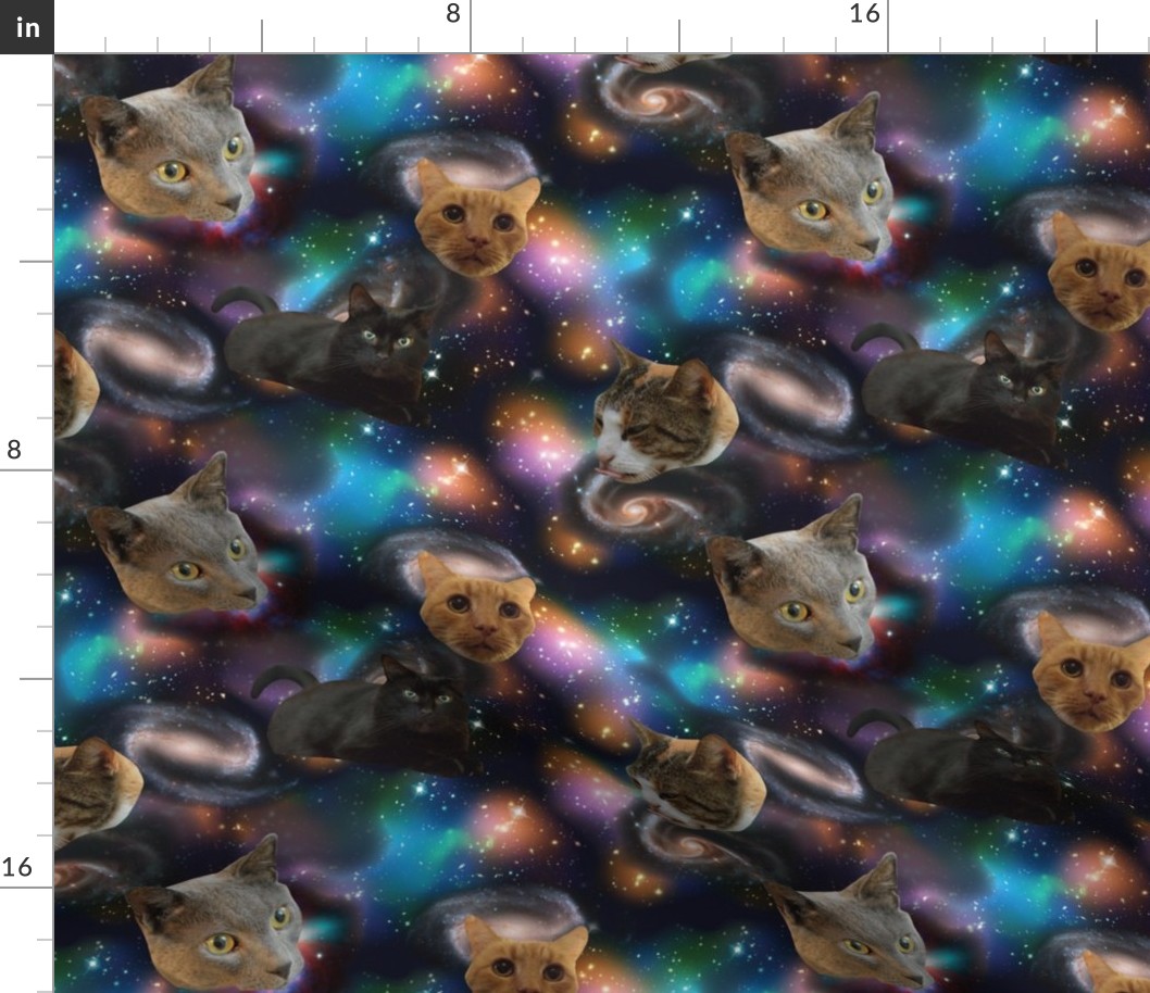 Galaxy Cats