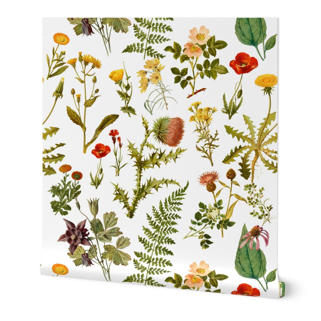 vintage botanical wildflowers-small