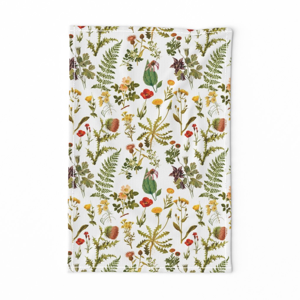 vintage botanical wildflowers-small