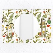 vintage botanical wildflowers-small