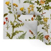 vintage botanical wildflowers-small