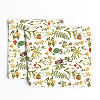 vintage botanical wildflowers-small