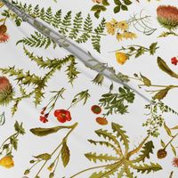 vintage botanical wildflowers-small