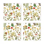 vintage botanical wildflowers-small