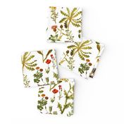 vintage botanical wildflowers-small