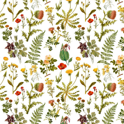 Botanical floral vintage style wallpaper  TenStickers