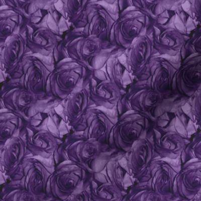 Royal Roses ~ Medium