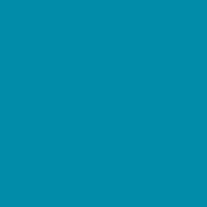 Teal Solid Basketball Team Color