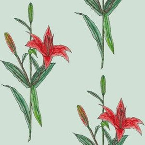 Large Red Tiger Lilies on Light Blue