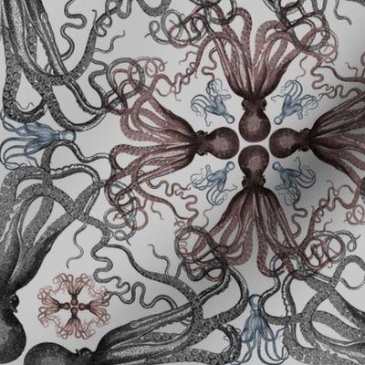 Octopus Garden—Gray