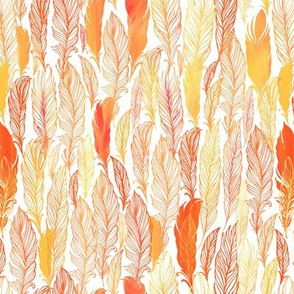 Orange watercolor feathers