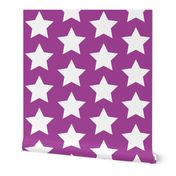 white star on purple