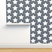 white stars on medium gray