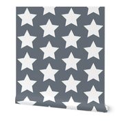 white stars on medium gray