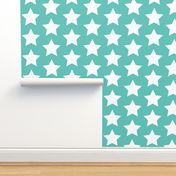 white stars on light teal