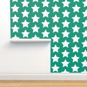 white star on teal