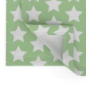 white stars on mint green