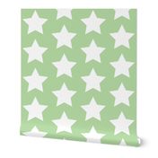 white stars on mint green