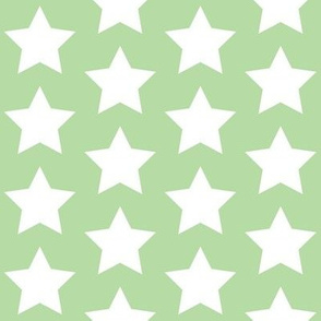 white stars on mint green
