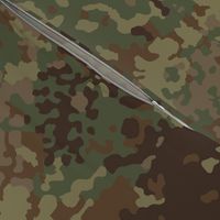 Flecktarn_Multi_003