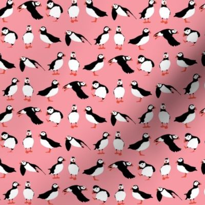 just puffins pink small