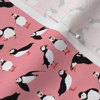 just puffins pink small